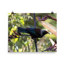 Load image into Gallery viewer, Tui Series Poster
