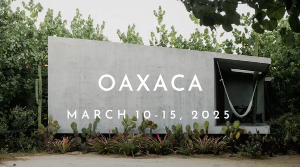 Architecture building surrounding by trees. Banner about Oaxaca Retreat
