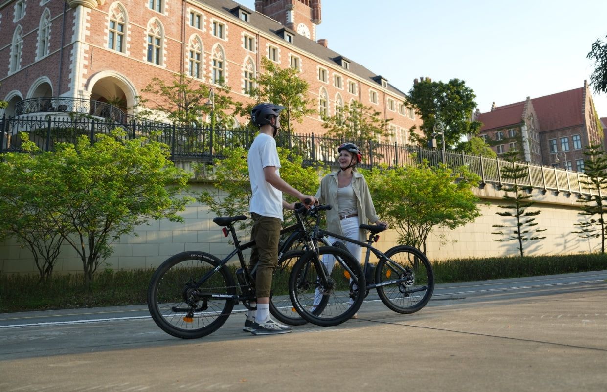 gazelle e bike damen