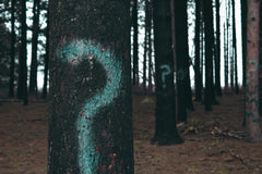 Trees with Question marks on them- signifies pointless words in copy