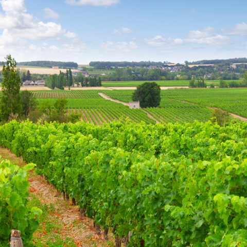 Loire Valley