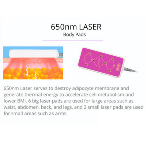 650 nm Laser Pads of S Shaped 30k Cavitation Machine