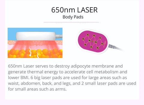 650 nm Laser Pads of S Shaped 30k Cavitation Machine