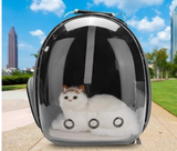 Cat Bag Full Transparent Pet Space Bag