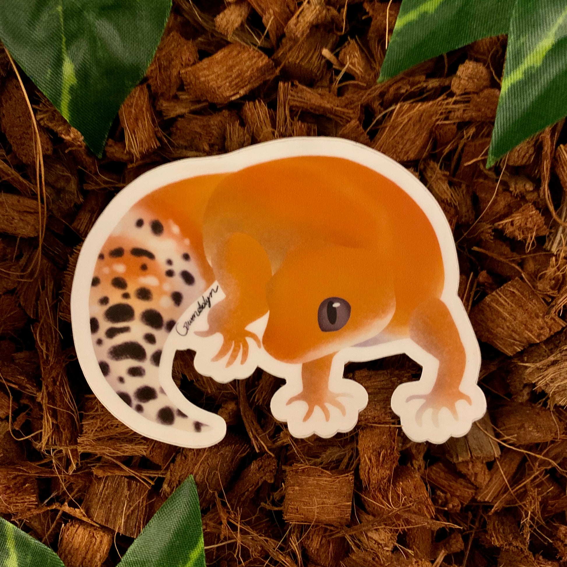 leopard gecko morphs poster