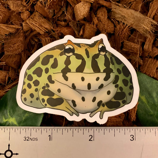 1 Pc Vinyl Frog Sticker Sheet, Tree Frog Stickers, Pacman Frog Sticker, Red  Eyed Tree Frog, Pacman Frog, Dumpy Tree Frog, Nature 