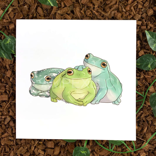 White's Tree Frog Sticker – Amphisbaena Exotics