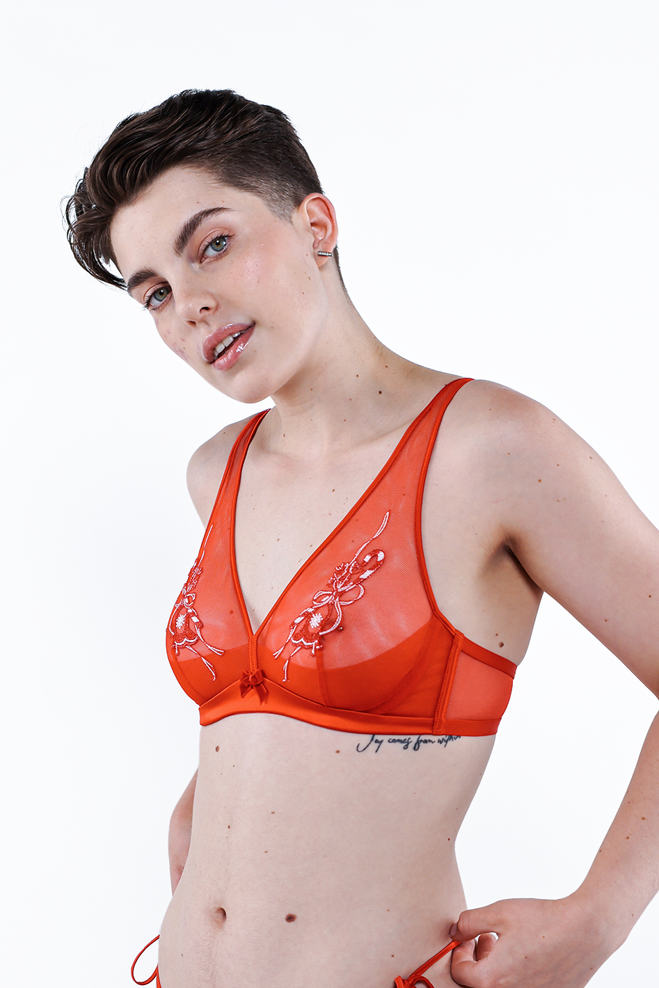 Understance Mistletoe Sheer Plunge Bra B-D Cup #color_goji-berry