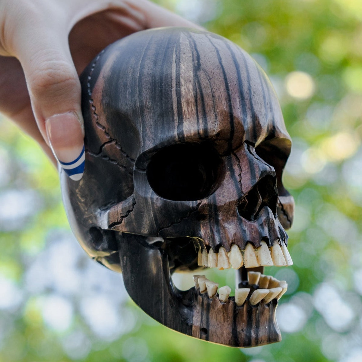 1 oz. Scoop Sugar Skulls Cut Outs Wooden Embelishments – Bones