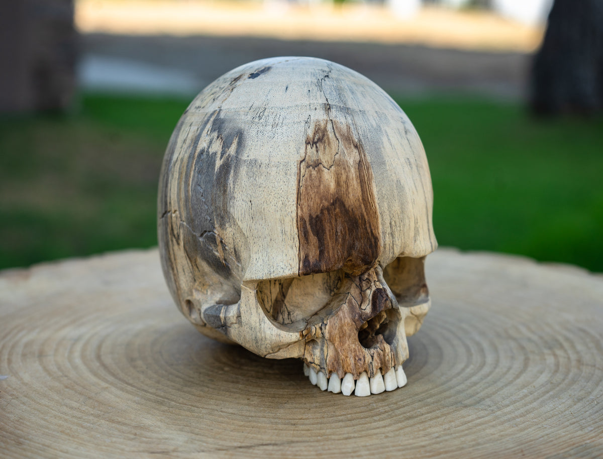 1 oz. Scoop Sugar Skulls Cut Outs Wooden Embelishments – Bones