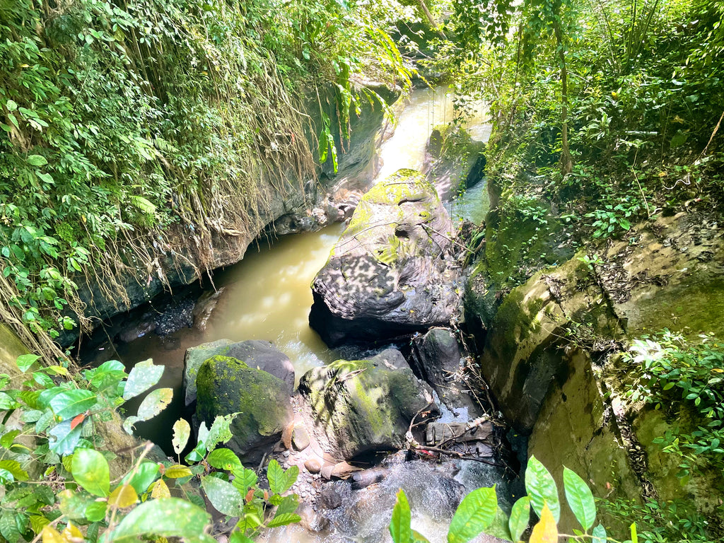 Hotpots in Ubud Bali - Tips - Wat te doen