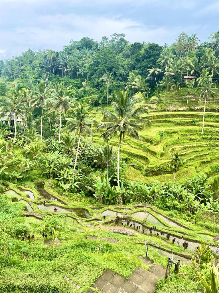 Bali Reistips