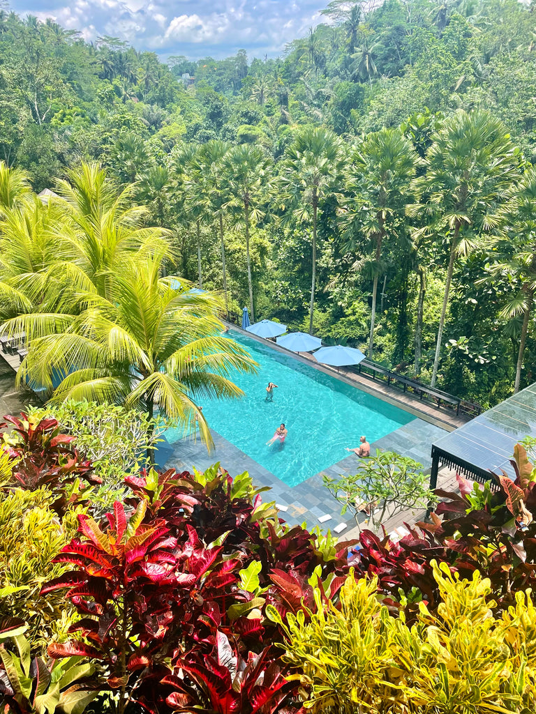Hotspots in Ubud Bali - Tips - Restaurants - Hotels - Wat te doen 