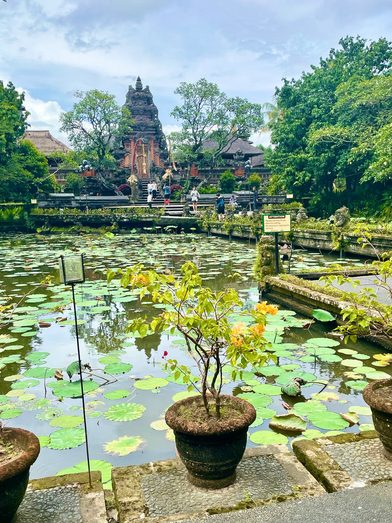 Hotspots in Ubud Bali - Wat te doen - Tips - Restaurants