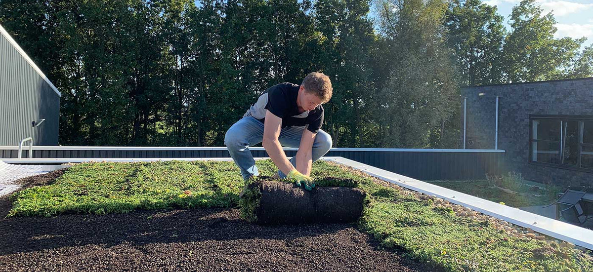 Dachbegrünung von AboutGreen