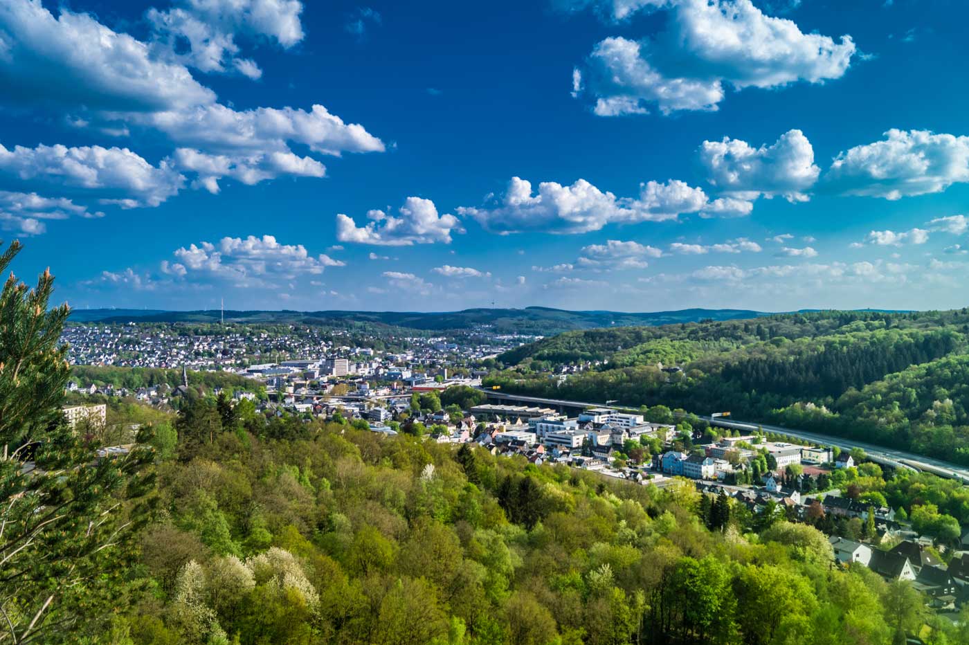 Maßgefertigte Gründächer nach Siegen liefern lassen