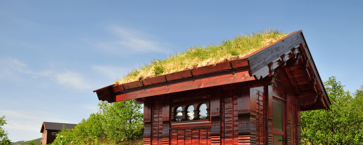 Dachbegrünung auf Holzhaus