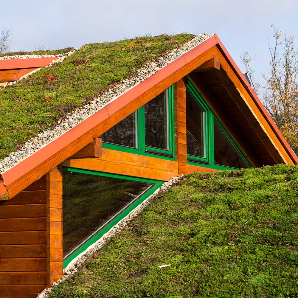 Dachbegrünung Holzhaus