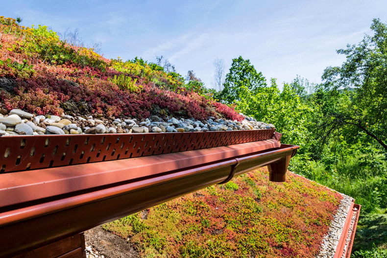 Dachbegrünung mit Sedum und Kieseln