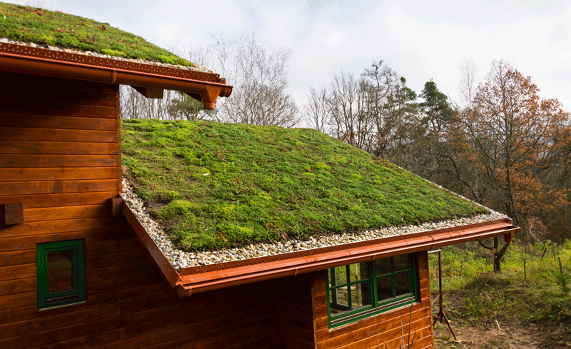 Holzhaus Gründach