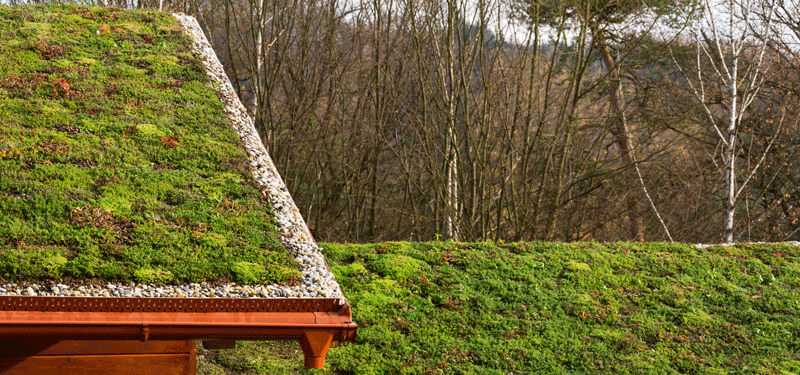 Gründach mit Kieselrand