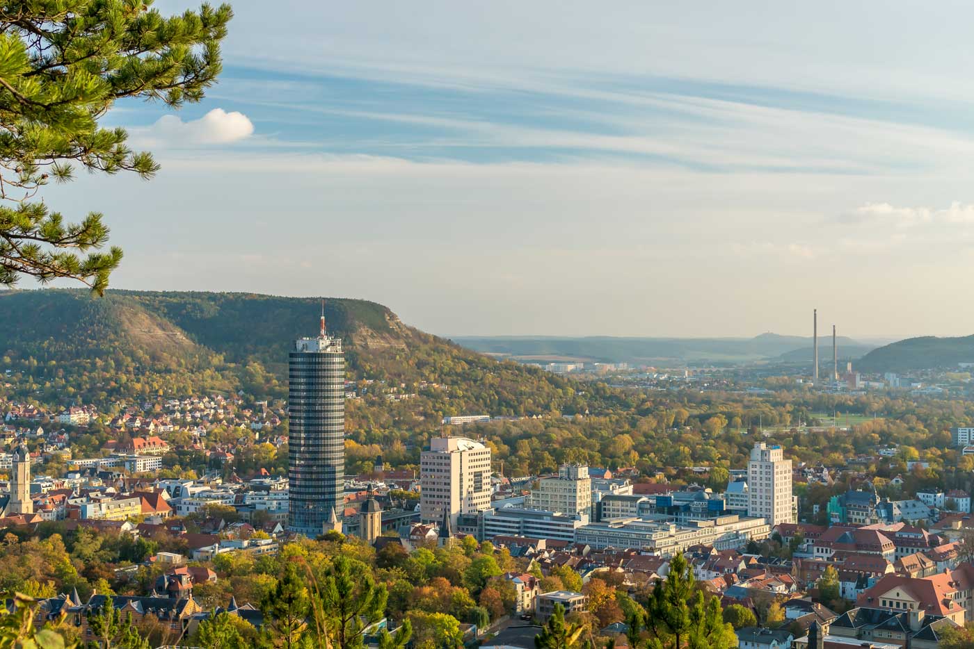 Dachbegrünung in Jena