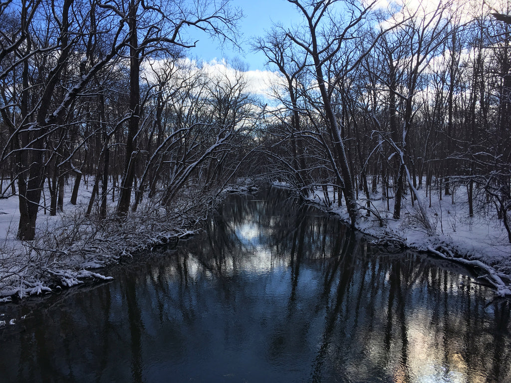 winter bridge