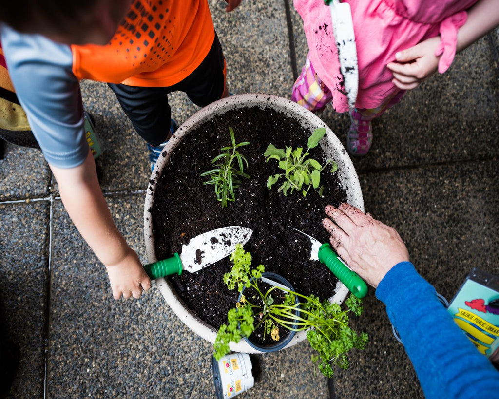 Nature Play at Skokie Library