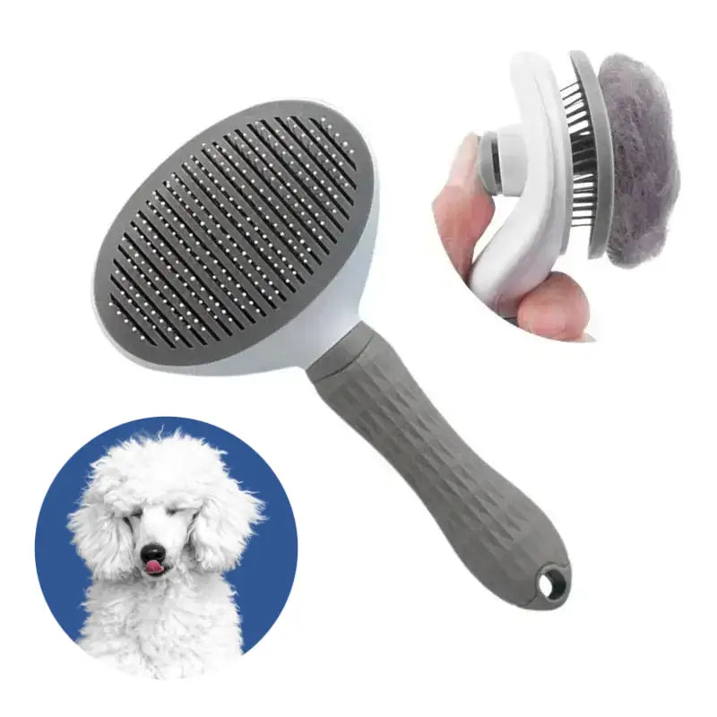 Poodle Grooming