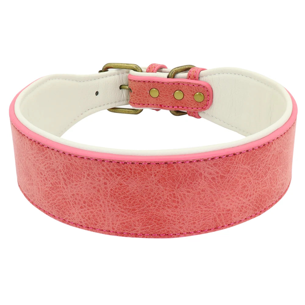 Poodle Collars