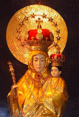 Our Lady of Vailankanni image.