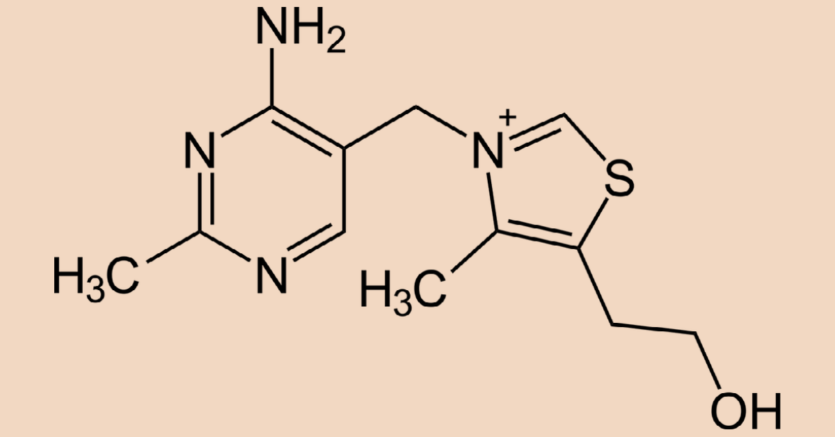 best nootropics for your brain Sulbutiamine