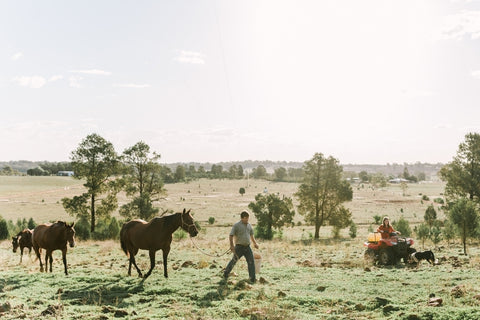 John Lordan at home in Dubbo NSW - Australian Saddler