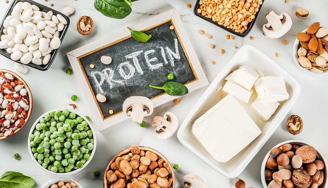 10 Protein Packed Foods that Aren't Meat SteelFit® USA