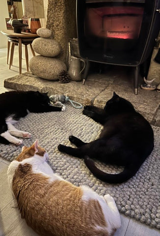 cats in front of the log burner