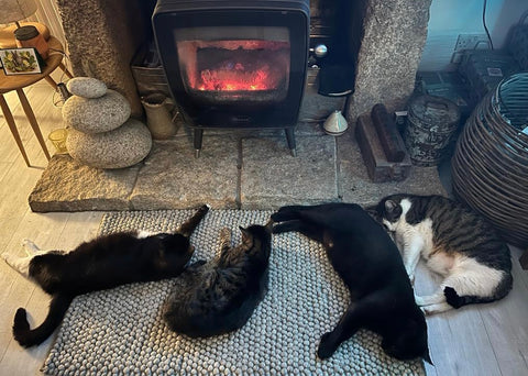 4 cats in front of the log burner