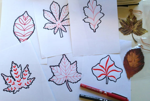 Drawings for etching artwork of leaf designs by Sharon McSwiney