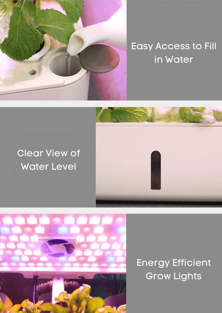 Hydroponics Systems For Beginners