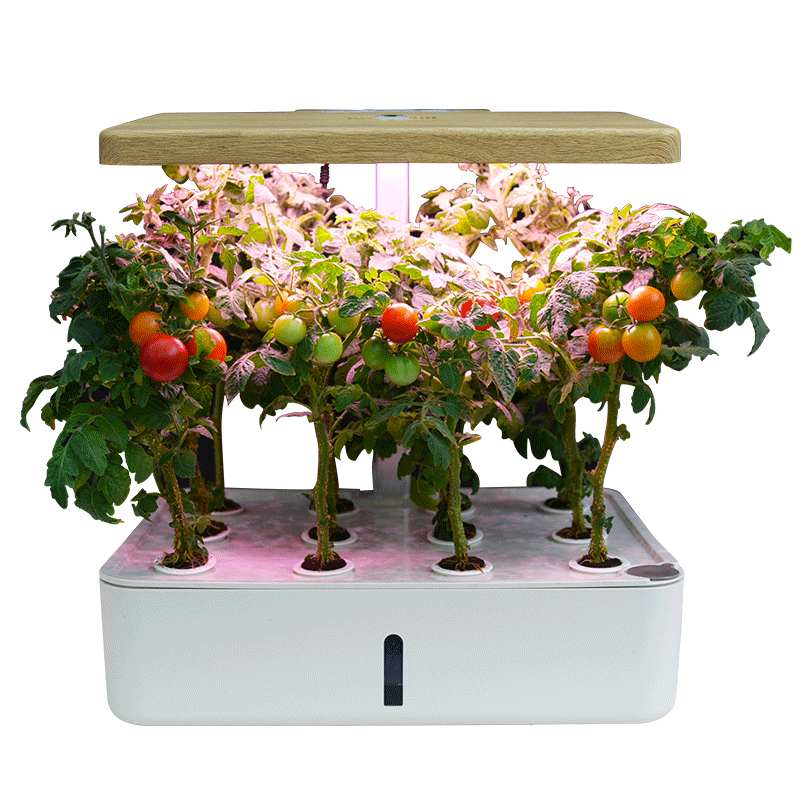 Types Of Hydroponic Systems