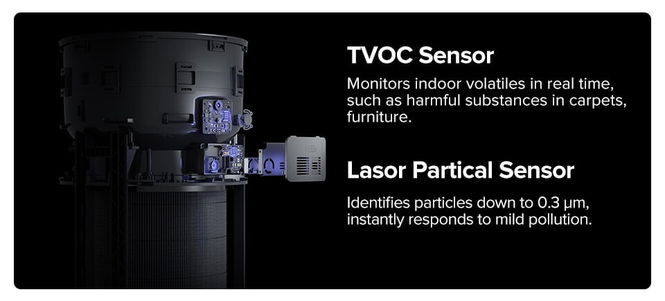 Do Air Purifiers Help With Allergies