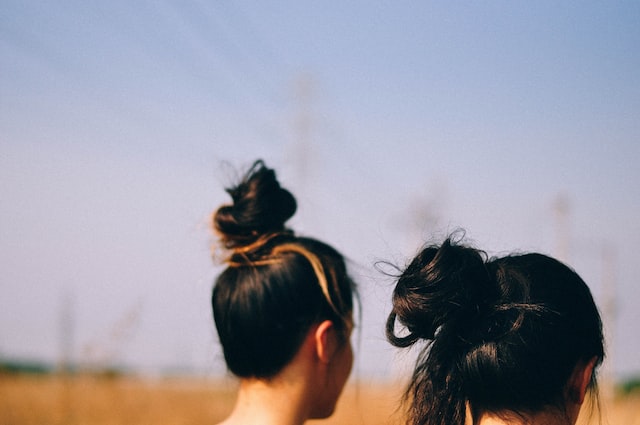 2 filles aux cheveux bruns attachés vue de dos