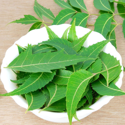 Neem Leaves Benefits - Mommypure