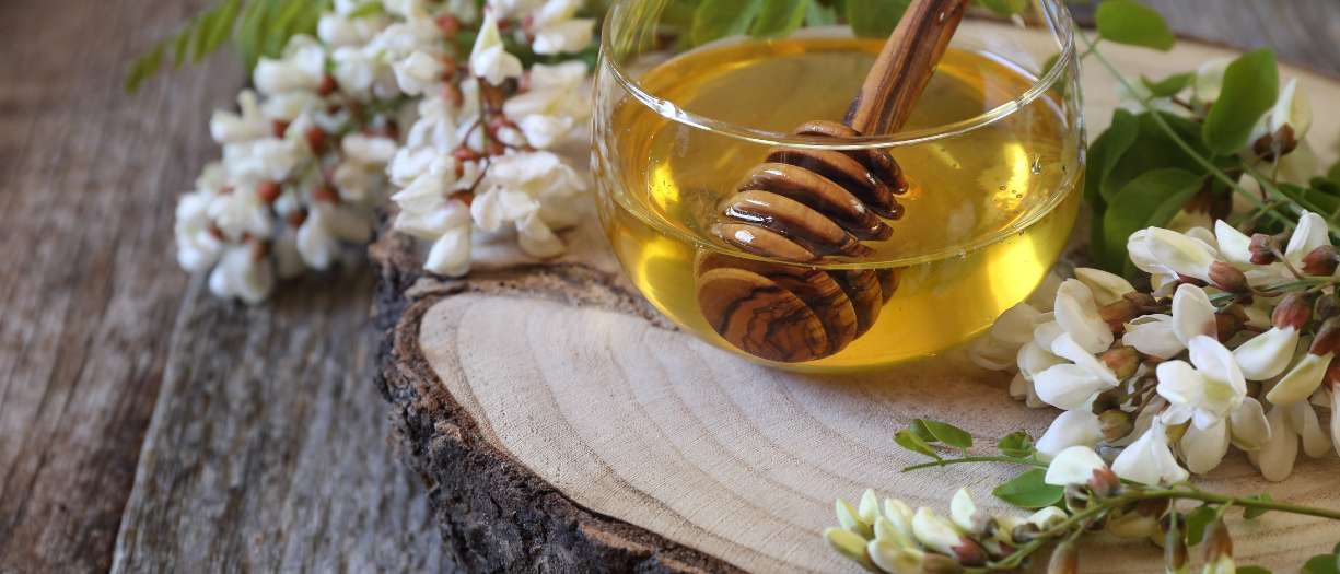 Acacia Honey: Graceful Sweetness for Sensitive Systems