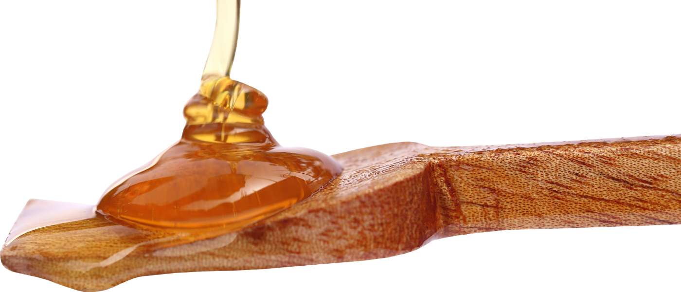 Antioxidants in Honey: Our Biological Armor