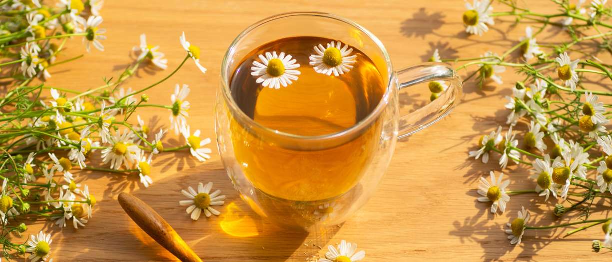 Chamomile Tea: Benefits and Relaxation