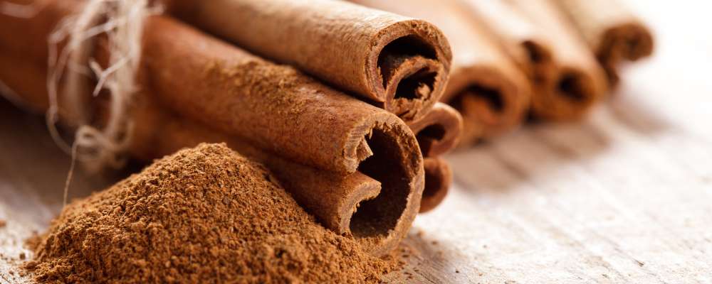 Cinnamon: The Sweet Shield