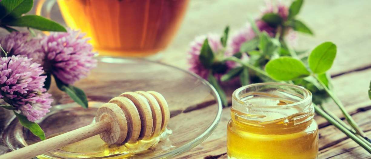 Clover Honey: The Culinary All-Rounder