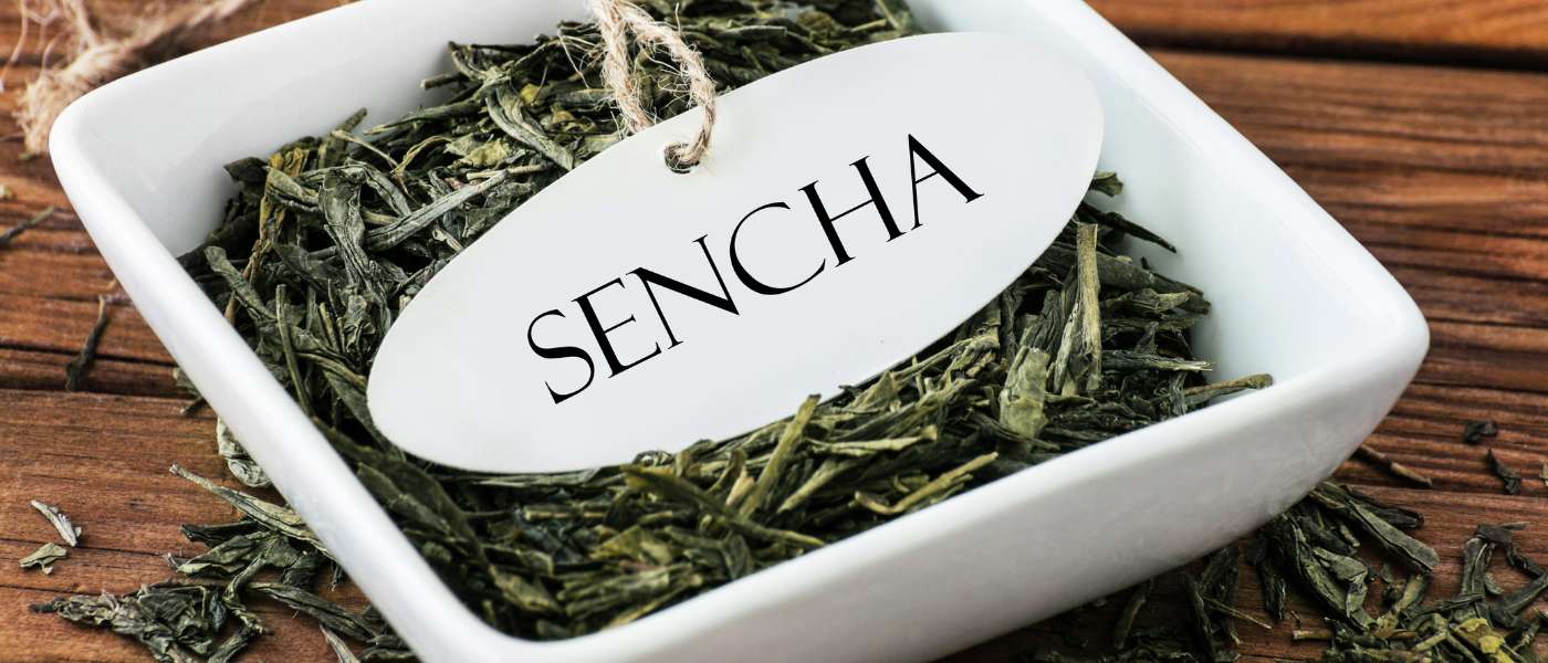 Sencha