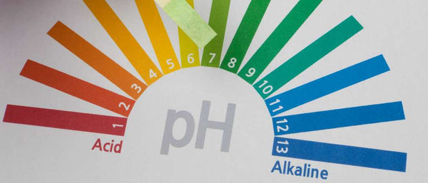 The pH Scale: From Acid to Alkaline