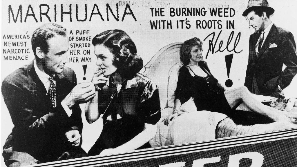 Old government advertising propaganda about cannabis being the devil's drug.